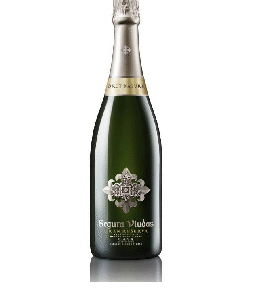 SEGURA VIUDAS BRUT VINTAGE